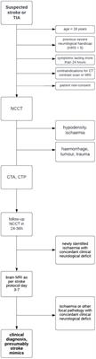 The importance of multimodal CT examination in stroke mimics diagnosis: design of prospective observational multicentre study